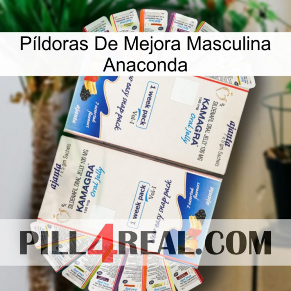 Píldoras De Mejora Masculina Anaconda kamagra1.jpg